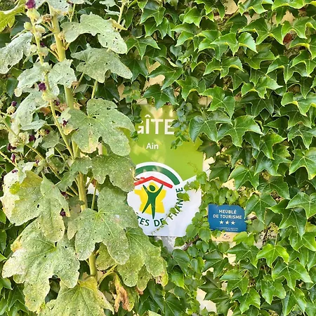 Du